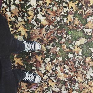 Meet your Posher, Jimi